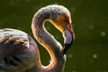 还阴债3个月内会起效果，不能太心急