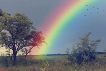 二婚孤鸾煞容易离婚,不及时破解很难再婚