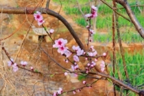 来月经搬家风水,女性朋友们需要注意了