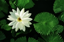 因果报应是真的，绝对不是在危言耸听