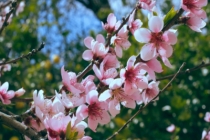 如何破解冲太岁，犯太岁你一定要知道的命理常识