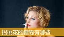 招桃花的植物有哪些