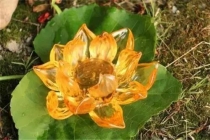 婴灵超度成功的感应 , 坠胎婴灵超度去寺庙写了牌位