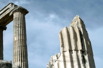 84年女鼠后半生运程会怎么样,属鼠的女性过来看看