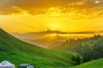 这些诅咒的法术可以让伤害你的人受到惩罚