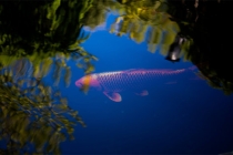 神奇的道家符咒法术，化解生活中的难题