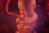 超度婴灵念什么？灵婴超度经文