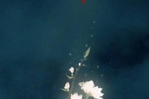 中国哪个庙超度婴灵 ， 佛家超度经文