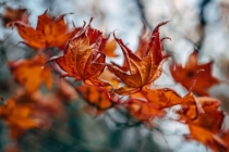 为什么离婚后财运差 相应的解决方法