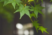 药供和烟供的区别，两者做完功德无量