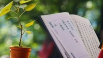 超度婴灵的经文,婴灵的父母要有更好的了解