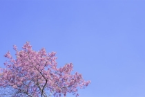 去世后的人超度后能尽快的转世投胎了