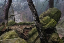 近期噩梦连连是因为什么所导致,来看如何摆脱噩梦了