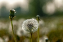 搬家后久病不愈，这是因为我们居住风水出现问