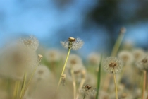 从中医角度了解为什么肾不好的人久病不愈