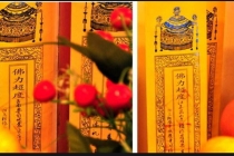 道教如何看待堕胎为什么有怨念