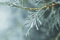 皮肤长痘因果报应，都是因为我们的口腹之欲