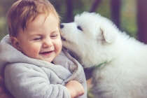 小孩受到惊吓了咨询化解之法，收魂是很好的处