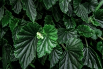 带你深入了解前世欠下的债是怎么回事