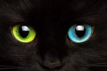 开阴阳眼1分钟见效，但千万不要轻易尝试