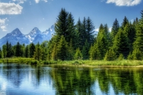 老祖宗牌位的历史,供奉先人需要注意的问题