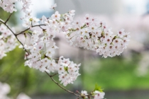 分手复合法术,轻松就能挽回前任恢复往日甜蜜