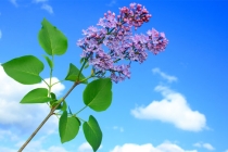 三种很好的辟邪吉祥物，辟邪化煞